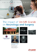 Download The impact of Vet-MR Grande on Neurology and Surgery: an interview with Dr. B. Nanai