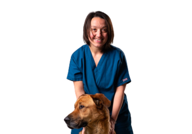 Laura Martinelli, DVM, MSc Veterinary University of Milan, Italy