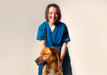 Laura Martinelli, DVM, MSc- Faculty of Veterinary Medicine, University of Milan, Italy.
