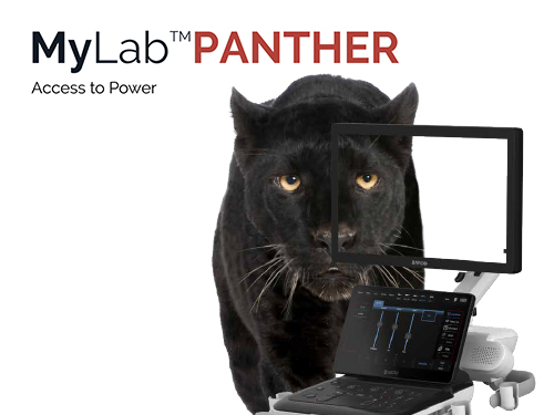 MyLab<sup>™</sup>Panther