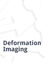 An insight in EACVI-ASE-Industry Initiative to Standardize Deformation Imaging
