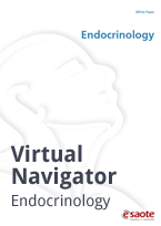 Virtual Navigator - Endocrinology