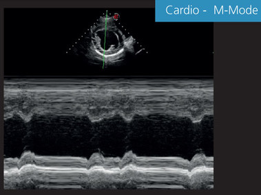 Clinical Image - MyLab<sup>™</sup>EightVET - Cardio M-Mode