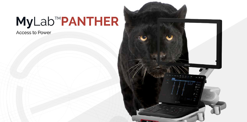 MyLab<sup>™</sup>Panther