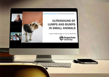 Ultrasound of Lumps and Bumps in Small Animals