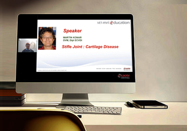 Stifle Joint: Cartilage Disease – clinical cases
